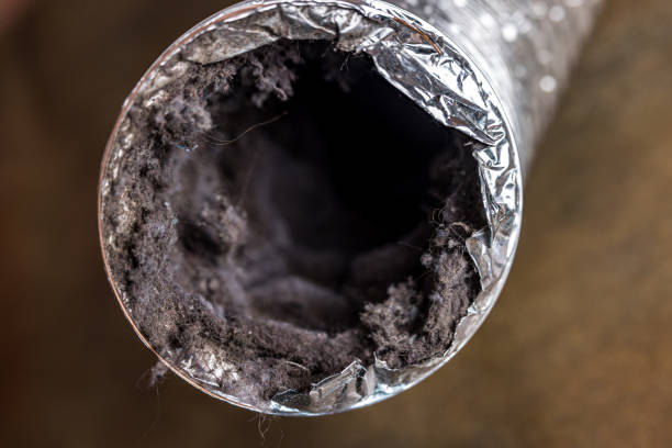 Best Duct Cleaning for Homes  in Pascagoula, MS